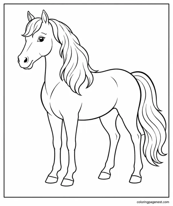 Printable Welsh Pony Coloring Sheet